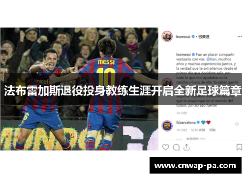 法布雷加斯退役投身教练生涯开启全新足球篇章 法布雷加斯退役投身教练生涯开启全新足球篇章